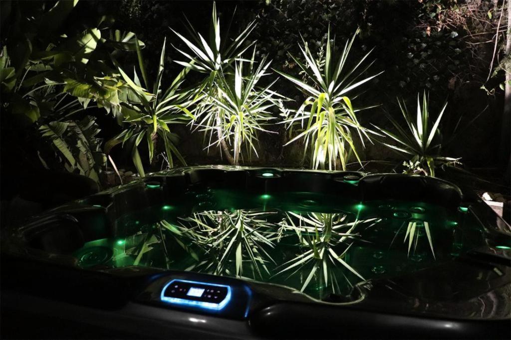 Luxury Jacuzzi Home & Terraces Malaga Ngoại thất bức ảnh